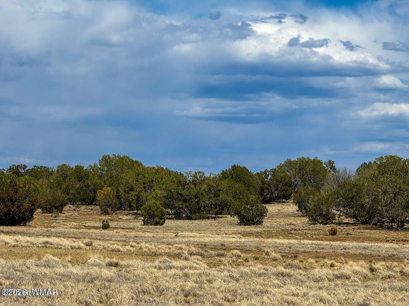 0 West Mile High Road Ash Fork, AZ 86320 - Photo 16 of 22 a view of a yard