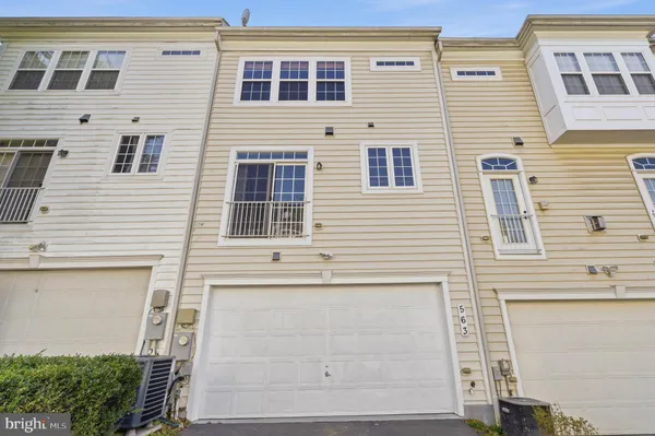 a picture of flowers