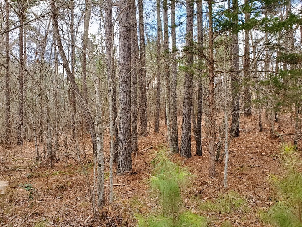 Pleasant Oak Road Victoria, VA 23974 - Photo 54 of 55 Gallery Image 54
