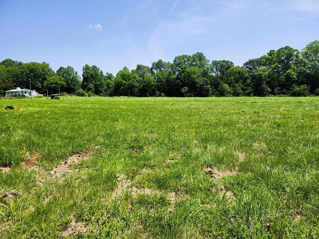 River Road Farmville, VA 23901 - Photo 4 of 21 Gallery Image 4