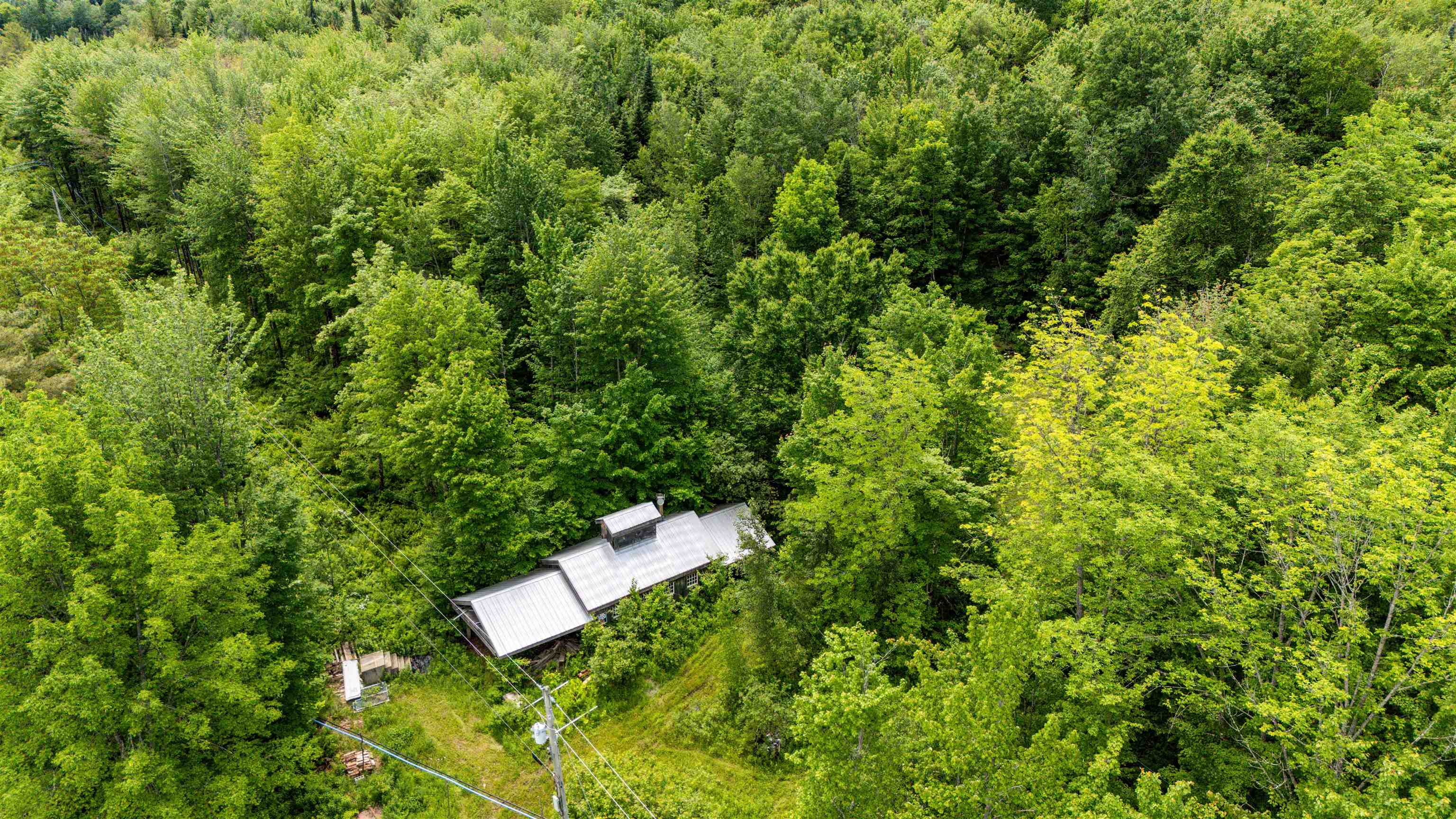281 Tree Farm Road Eden, VT 05652 - Photo 3 of 10 Gallery Image 3