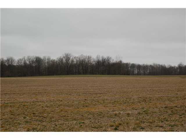 7084 Dublin Road Delaware, OH 43015 - Photo 3 of 6
