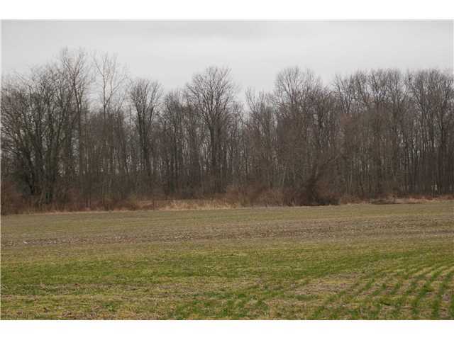 7084 Dublin Road Delaware, OH 43015 - Photo 6 of 6