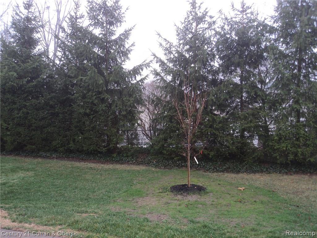 24289 Kings Pointe Novi, MI 48375 - Photo 7 of 18 REAR VIEW.JPG
