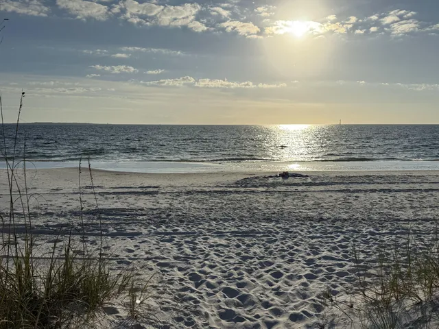 a view of a backyard space with wooden floor
