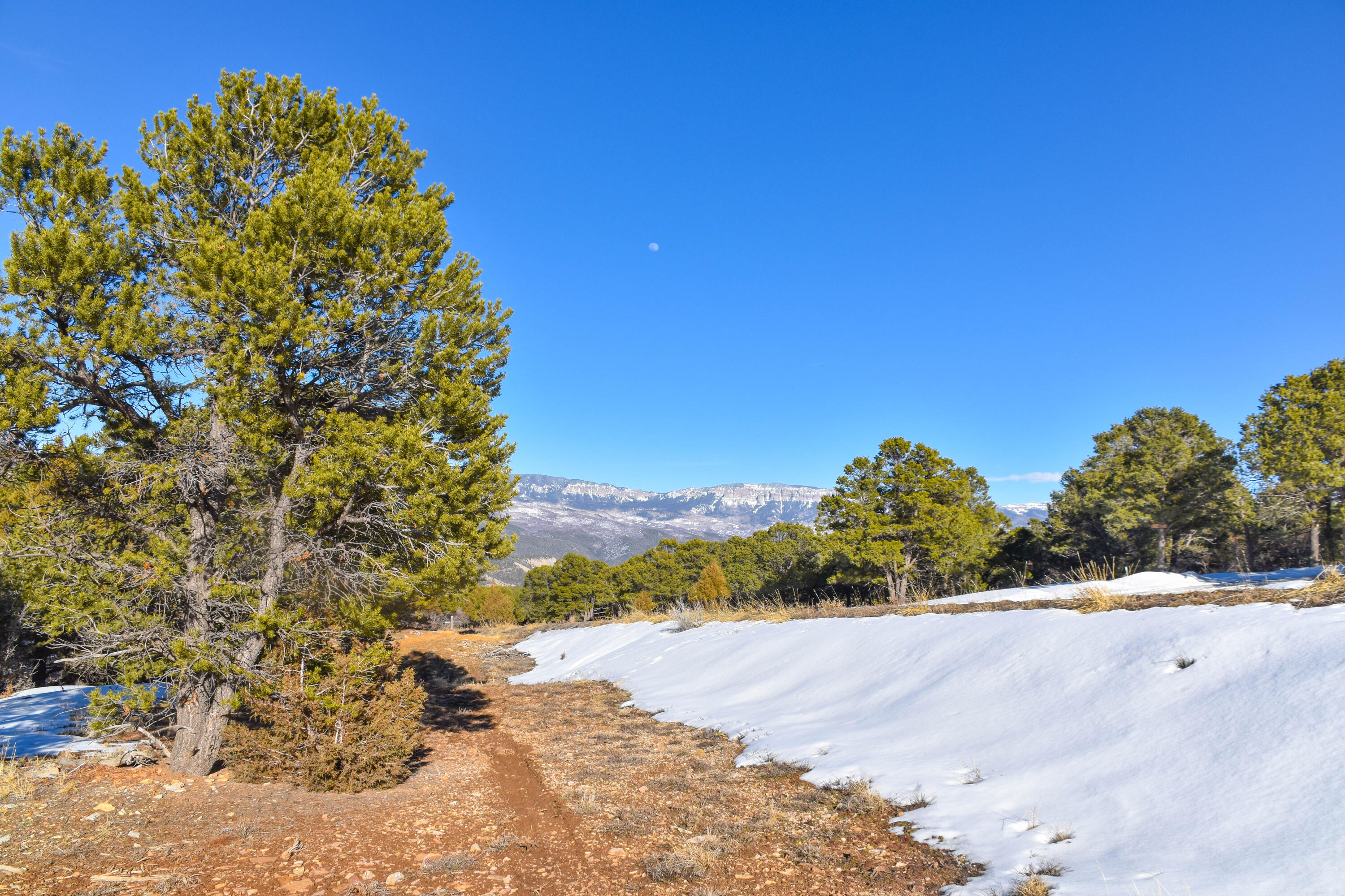 Tbd Tbd Pinon Ridgway, CO 81432 - Photo 5 of 25 g-6
