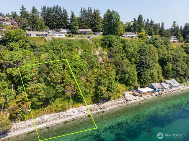 a view of a park with large trees