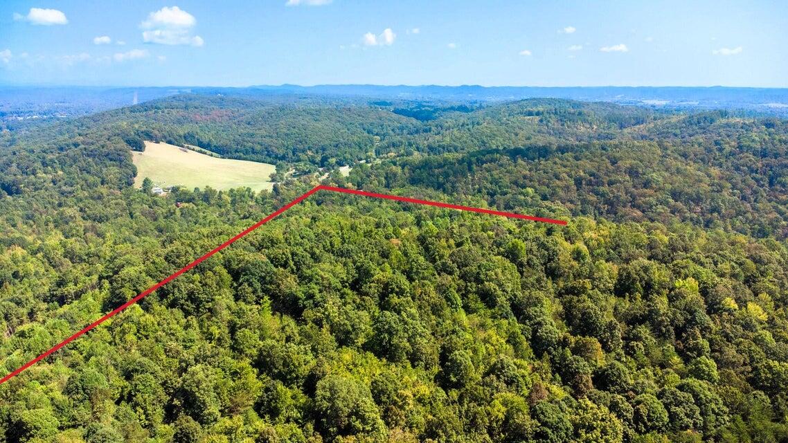 3 Pleasant Hill Road Ten Mile, TN 37880 - Photo 11 of 14 Pleasant Hill Aerial 3