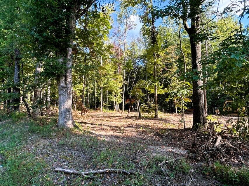 3 Pleasant Hill Road Ten Mile, TN 37880 - Photo 12 of 14 Tract 3 PH 2