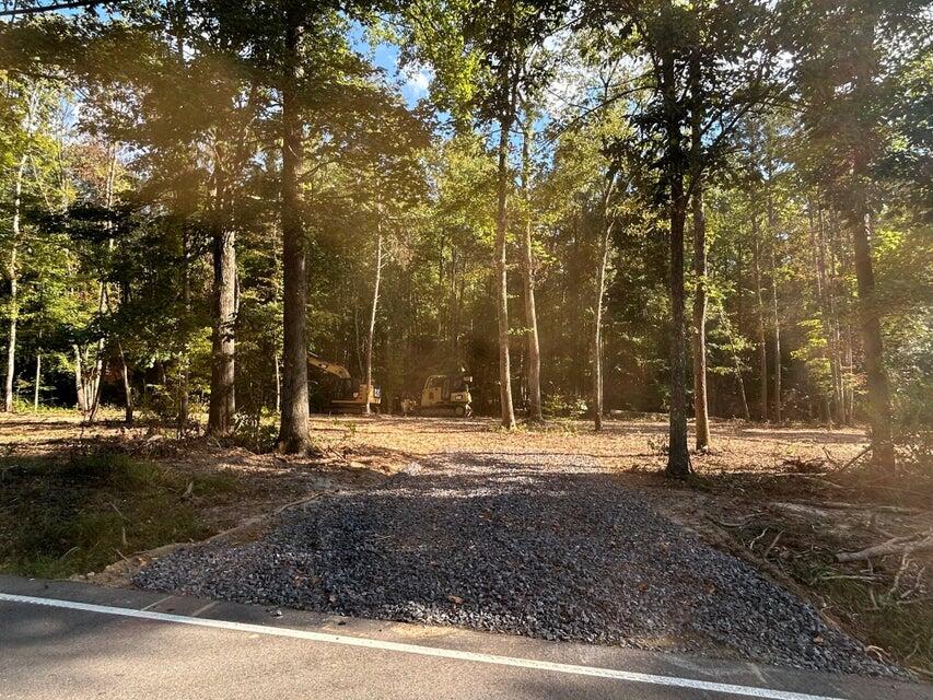 3 Pleasant Hill Road Ten Mile, TN 37880 - Photo 4 of 14 Tract 3 PH driveway