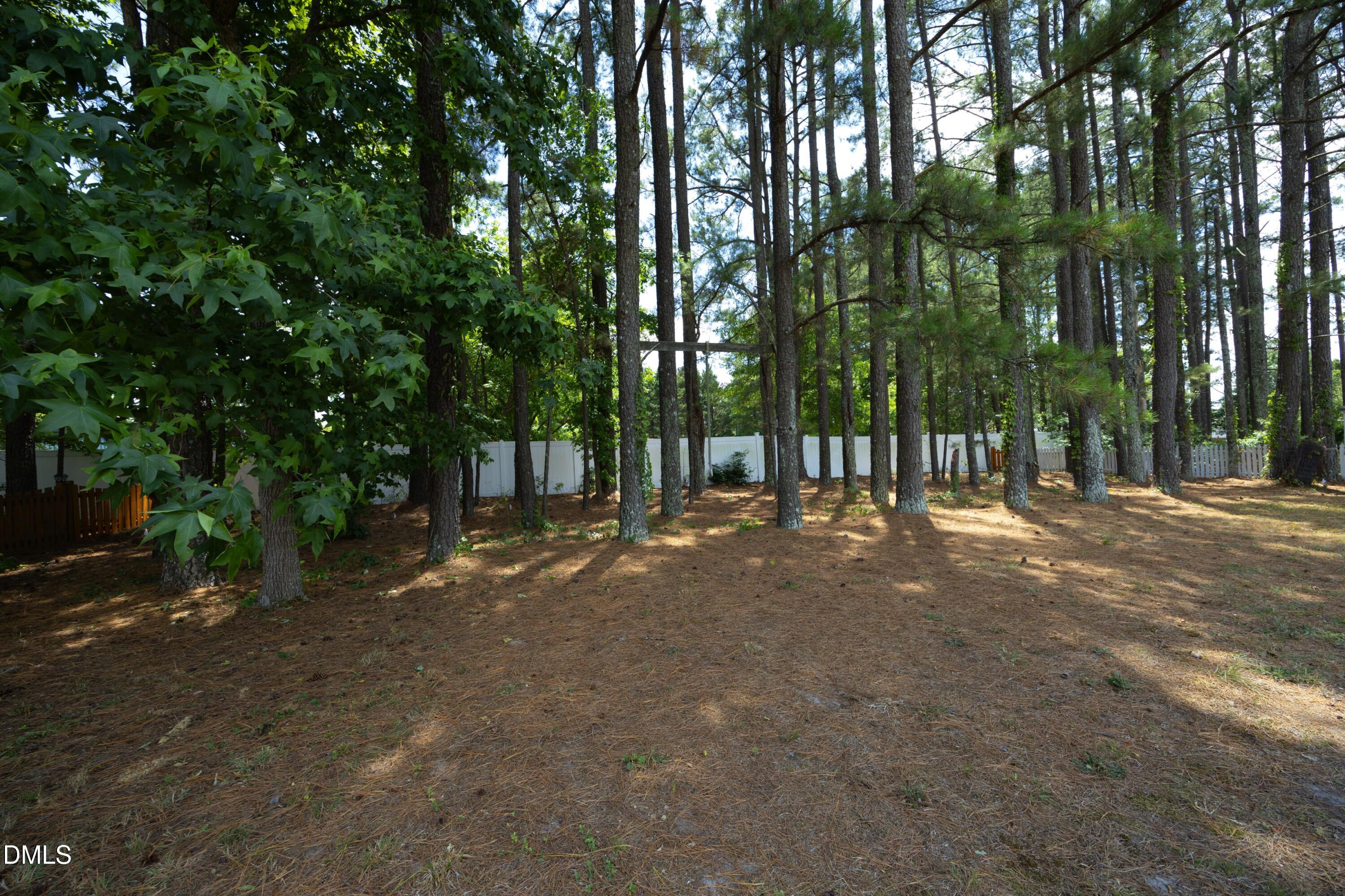 1625 Tall Cane Circle Willow Spring, NC 27592 - Photo 36 of 39