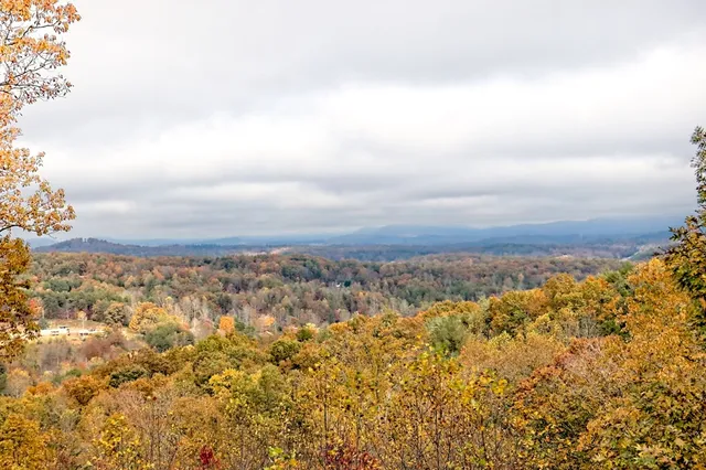 a view of house with a yard and wooden fence