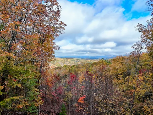 $985,900 | 357 Chicory Drive East, Blairsville, GA 30512