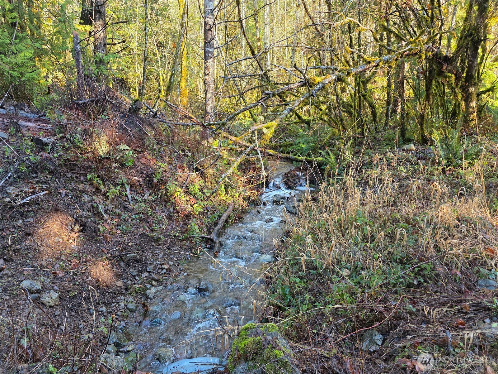 3162 Duckabush Road Brinnon, WA 98320 - Photo 15 of 15