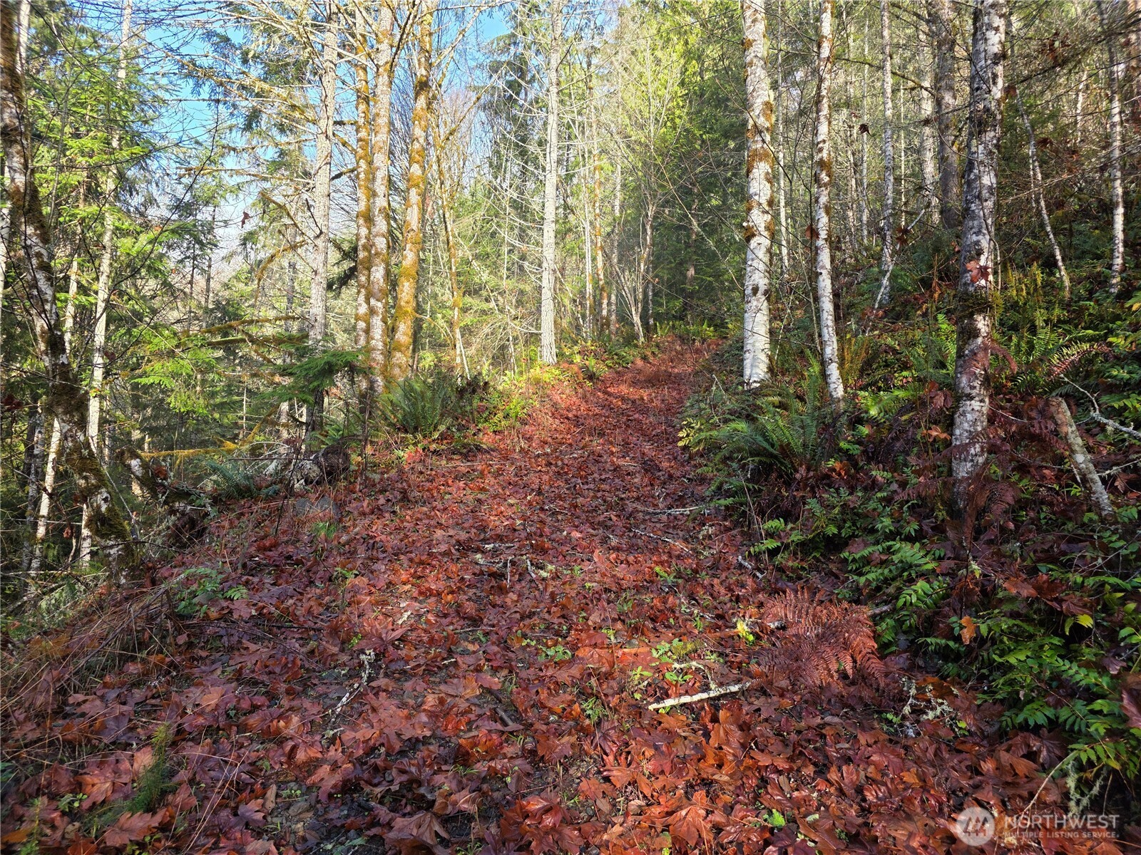 3162 Duckabush Road Brinnon, WA 98320 - Photo 3 of 15