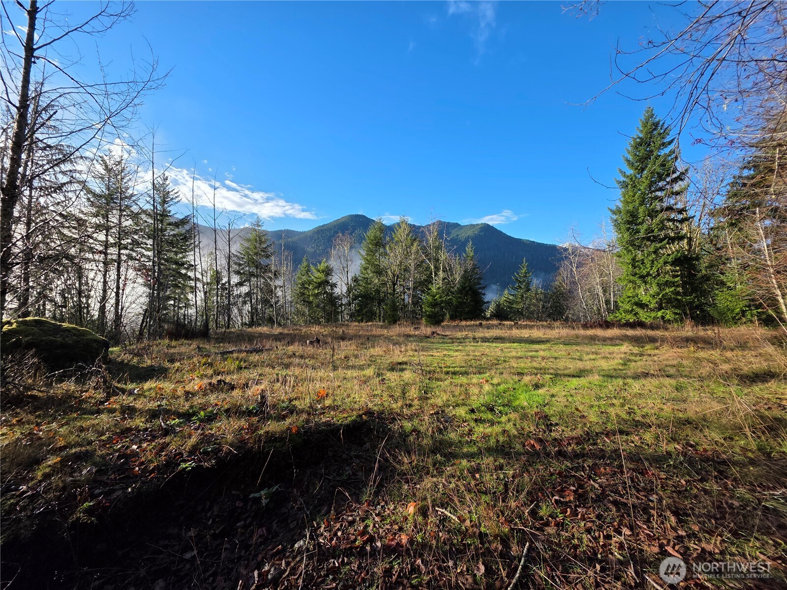 3162 Duckabush Road Brinnon, WA 98320 - Photo 4 of 15