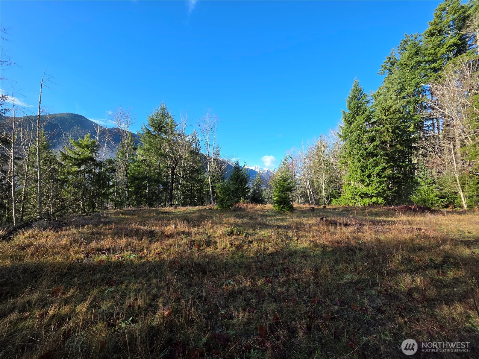 3162 Duckabush Road Brinnon, WA 98320 - Photo 5 of 15