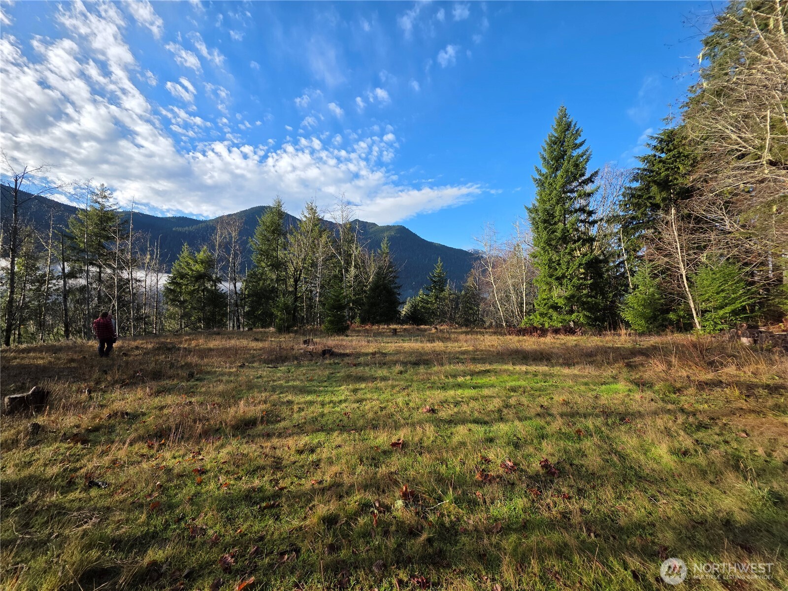 3162 Duckabush Road Brinnon, WA 98320 - Photo 6 of 15