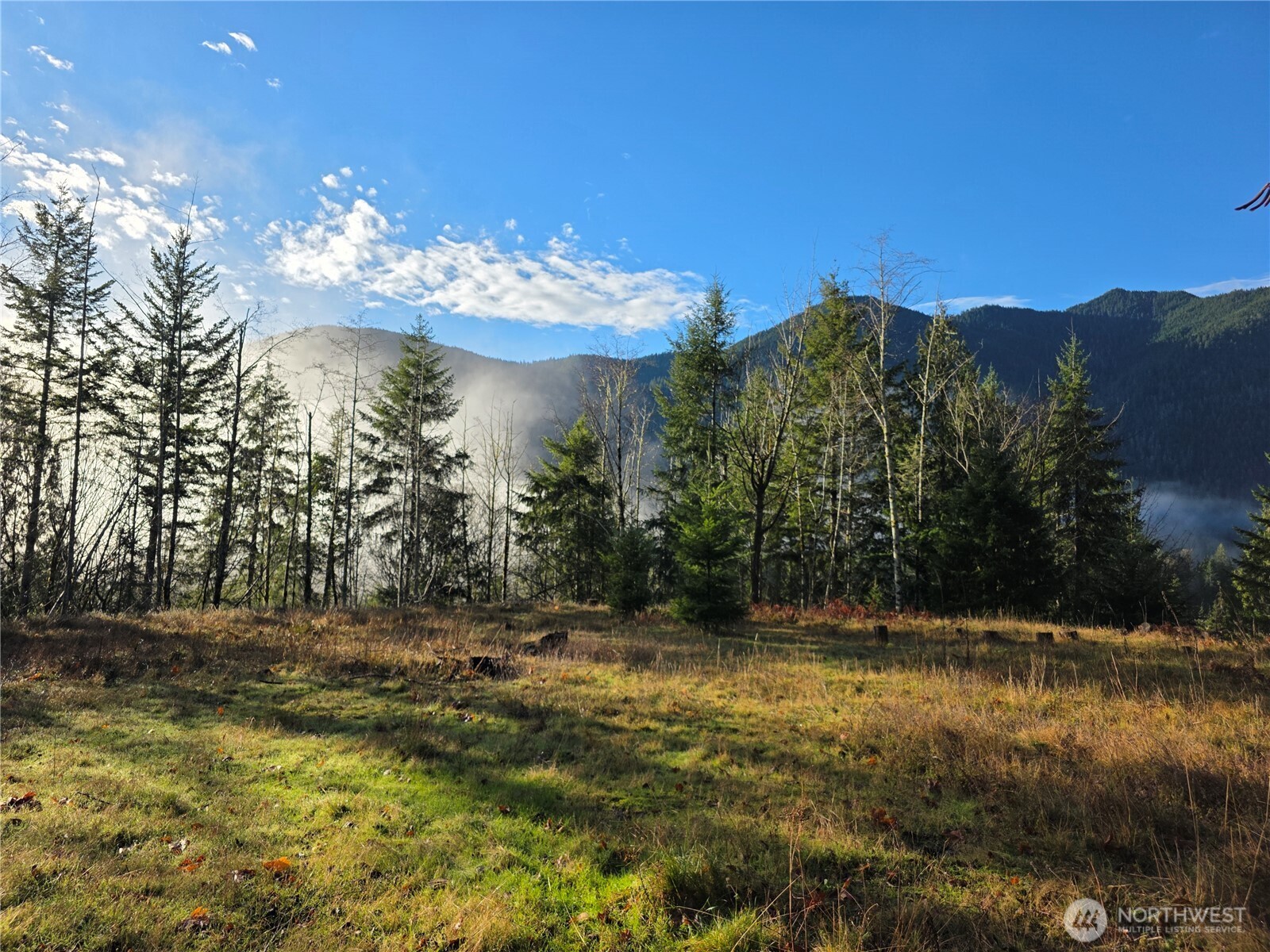 3162 Duckabush Road Brinnon, WA 98320 - Photo 7 of 15