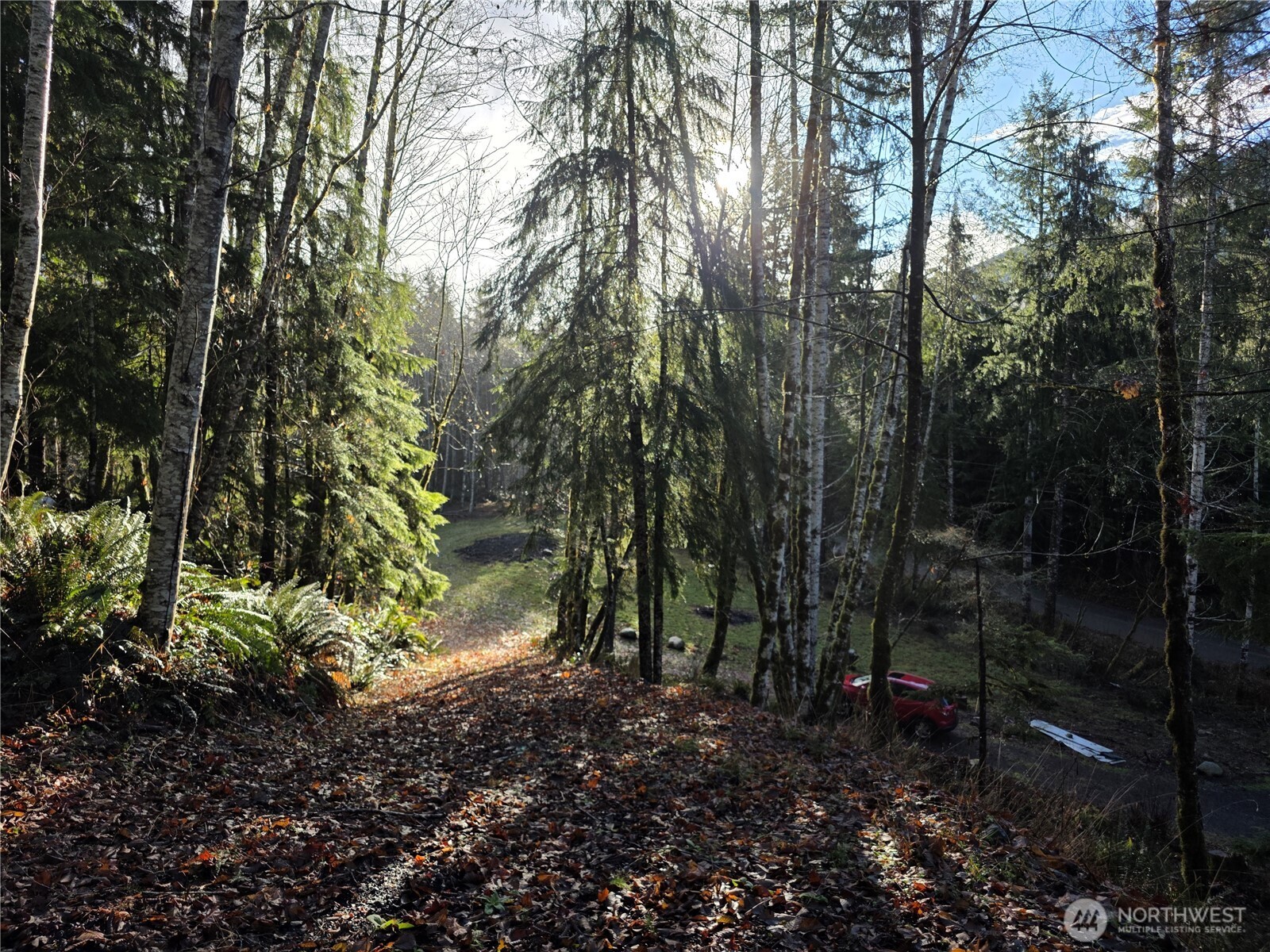 3162 Duckabush Road Brinnon, WA 98320 - Photo 8 of 15