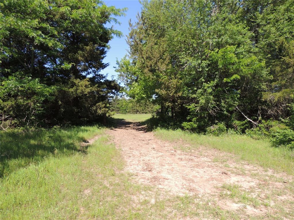 9324 Fm 898 Whitewright, TX 75491 - Photo 2 of 13