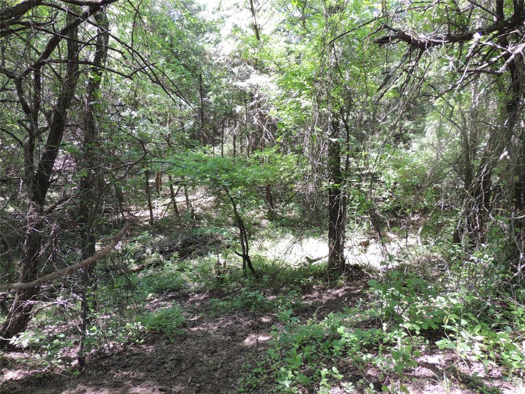 9324 Fm 898 Whitewright, TX 75491 - Photo 3 of 13