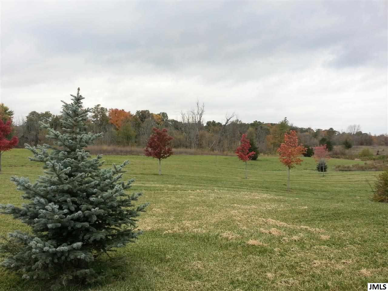 14648 Sanford Road Addison, MI 49220 - Photo 19 of 20 Photo 19