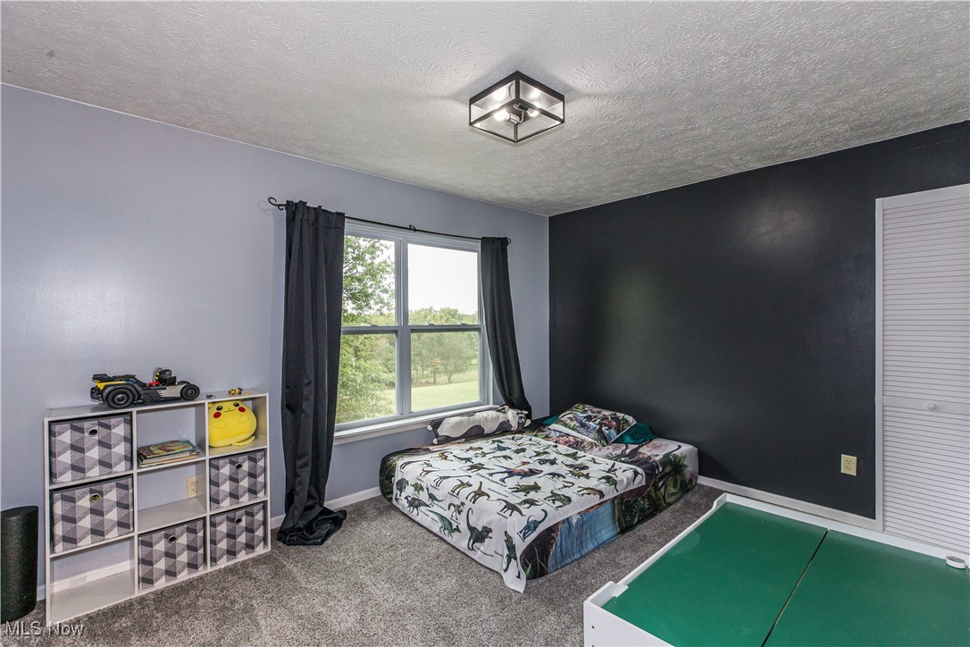 16727 Galehouse Road Doylestown, OH 44230 - Photo 17 of 38 Bedroom featuring a textured ceiling and carpet flooring