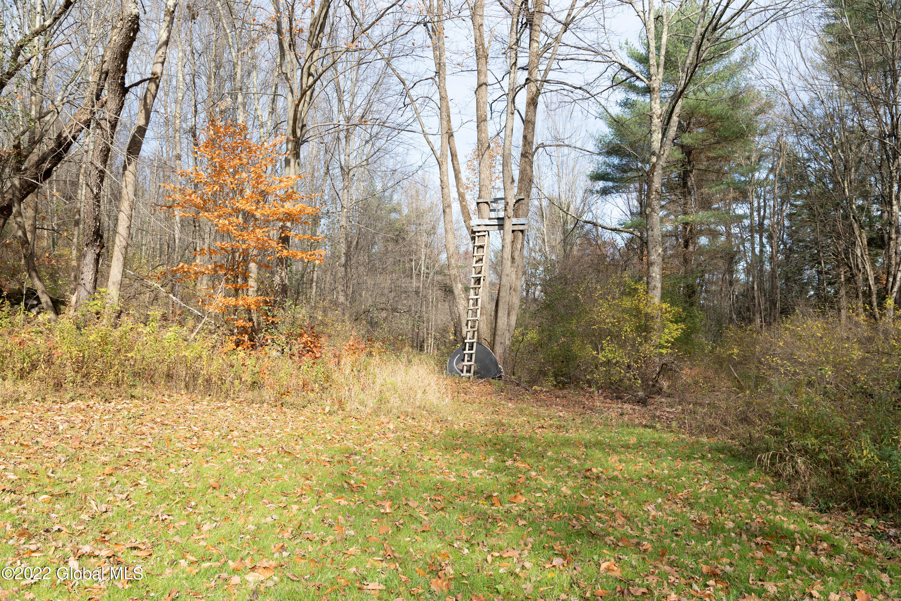 1303 County Rte 47 Argyle, NY 12809 - Photo 26 of 79 033-1303-Cty-Rte-47