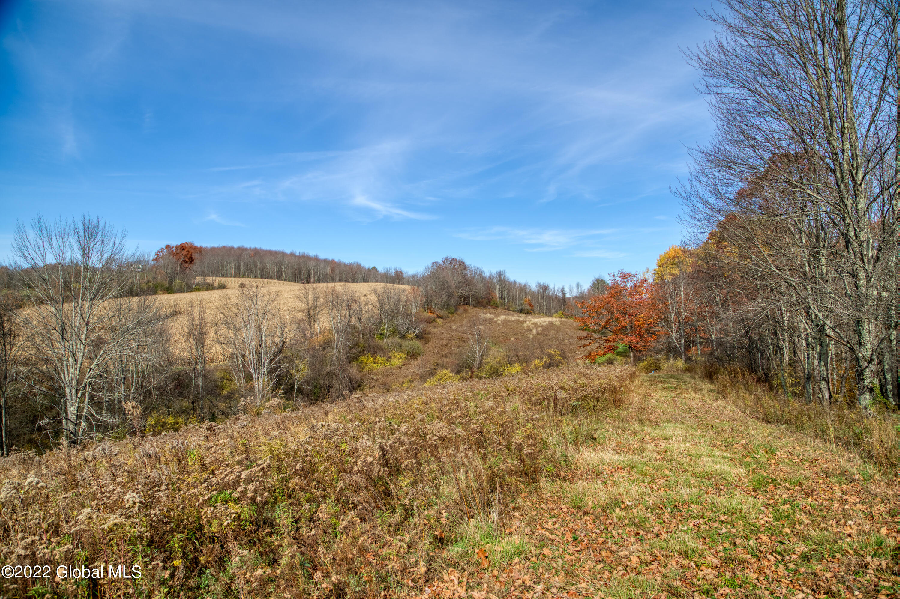 1303 County Rte 47 Argyle, NY 12809 - Photo 29 of 79 042-1303-Cty-Rte-47