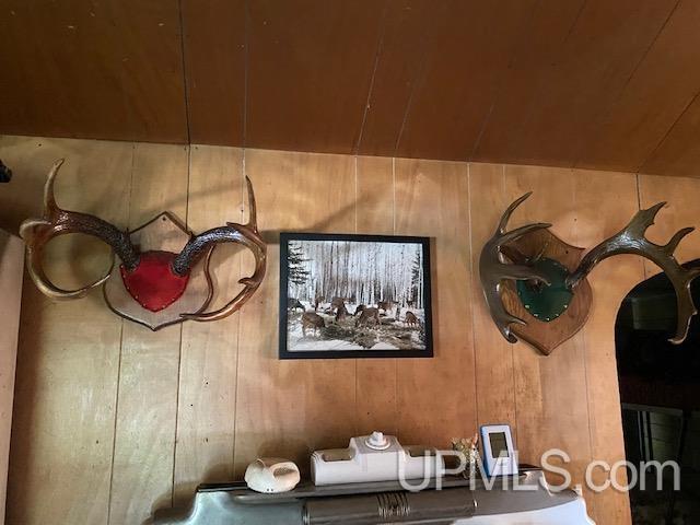 0 Co Rd Square Felch, MI 49831 - Photo 10 of 21