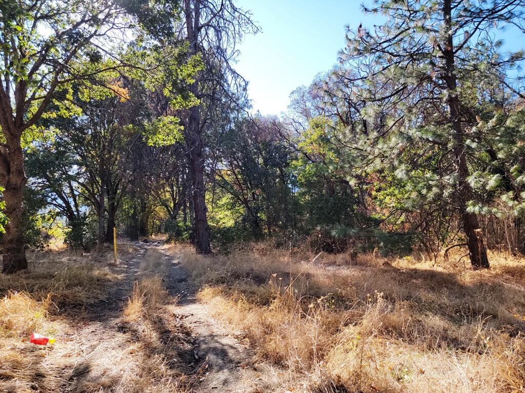 0 River North Road Gold Hill, OR 97525 - Photo 5 of 18 20221003_152443