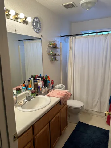 a bathroom with a sink a toilet and shower curtain
