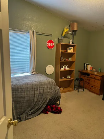 a bedroom with a bed and dresser