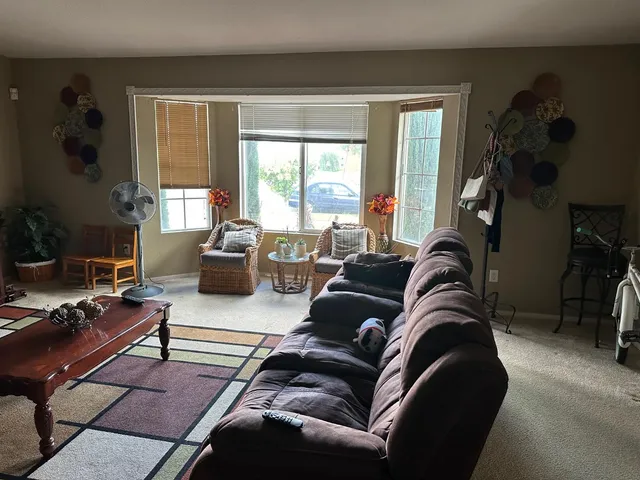 a living room with furniture potted plant and a window