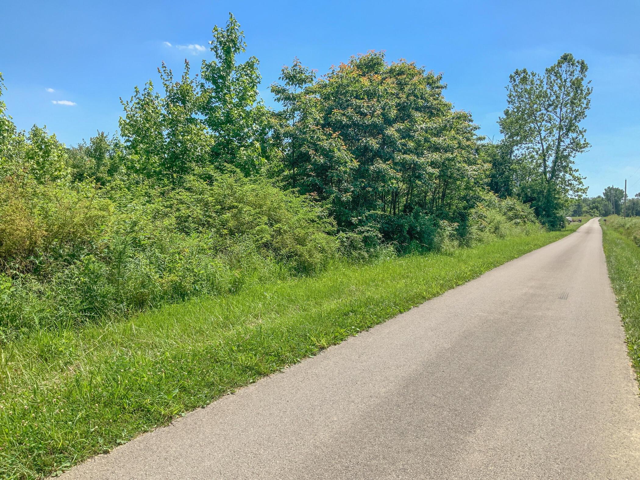 0 Rosselott Road Sardinia, OH 45171 - Photo 4 of 15