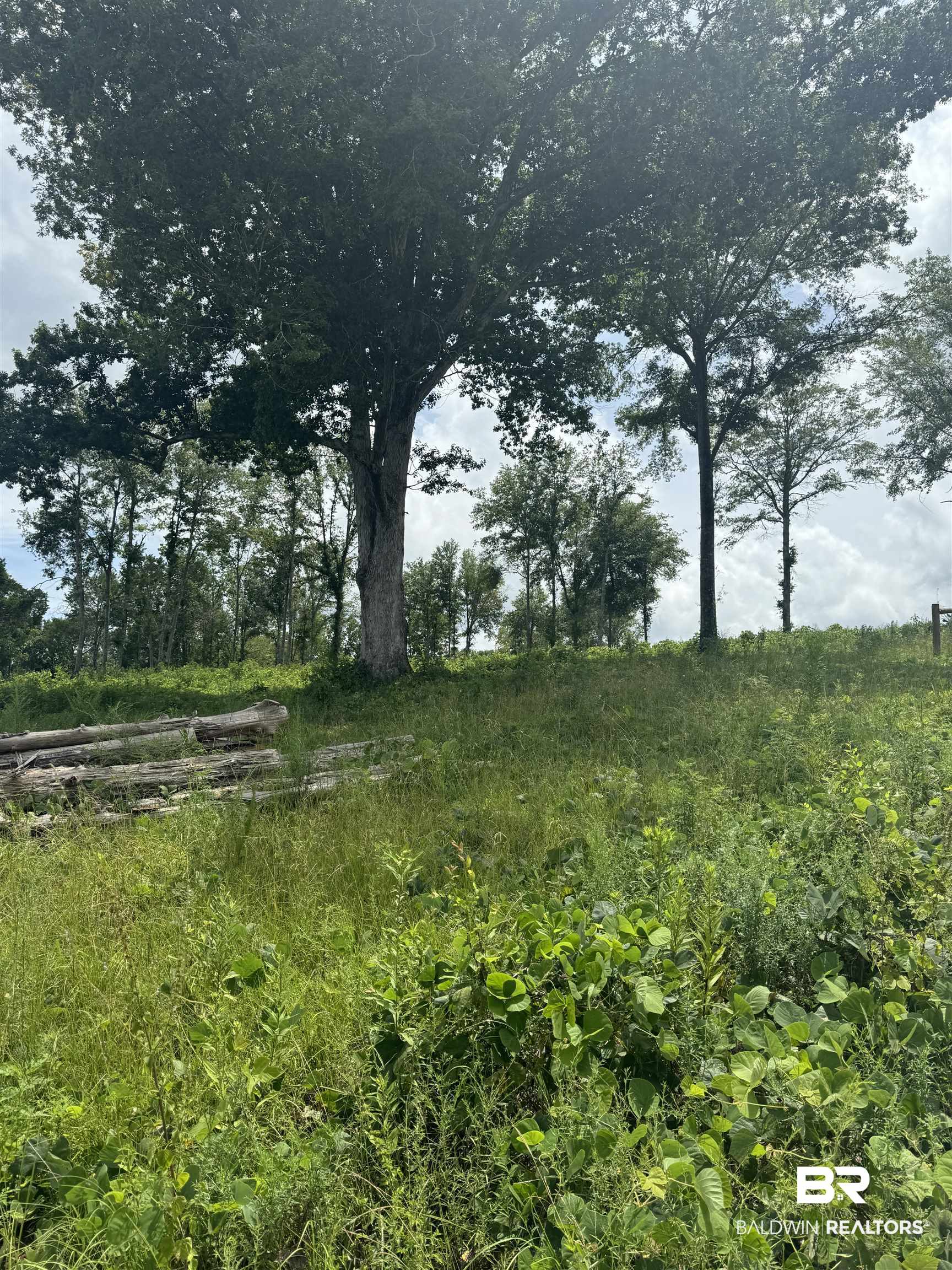 0 Deer Creek Road Monroeville, AL 36460 - Photo 14 of 19