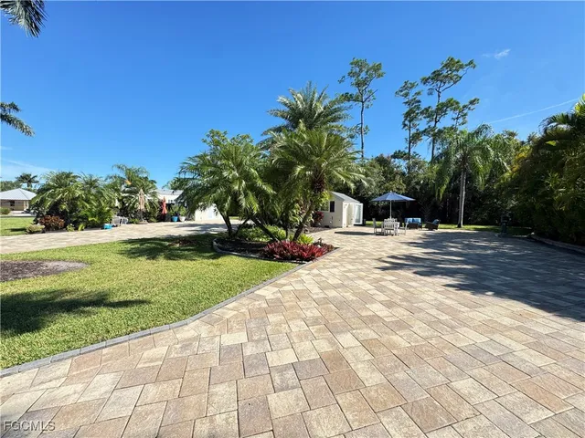 a view of a park with plants and trees