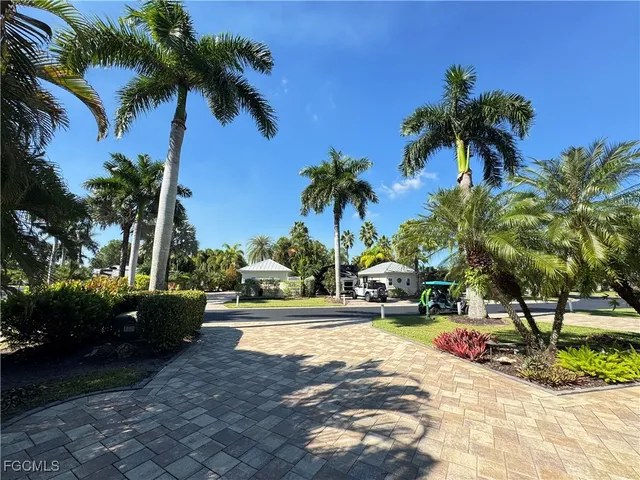 a view of a park with palm trees