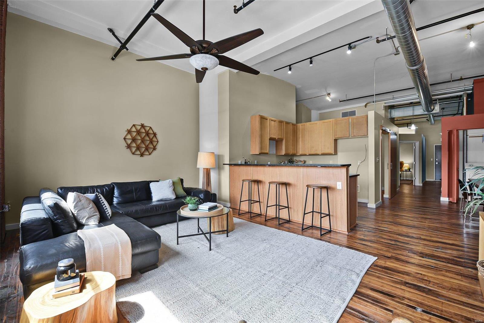 1520 Washington Avenue, Unit R411 St. Louis, MO 63103 - Photo 5 of 16