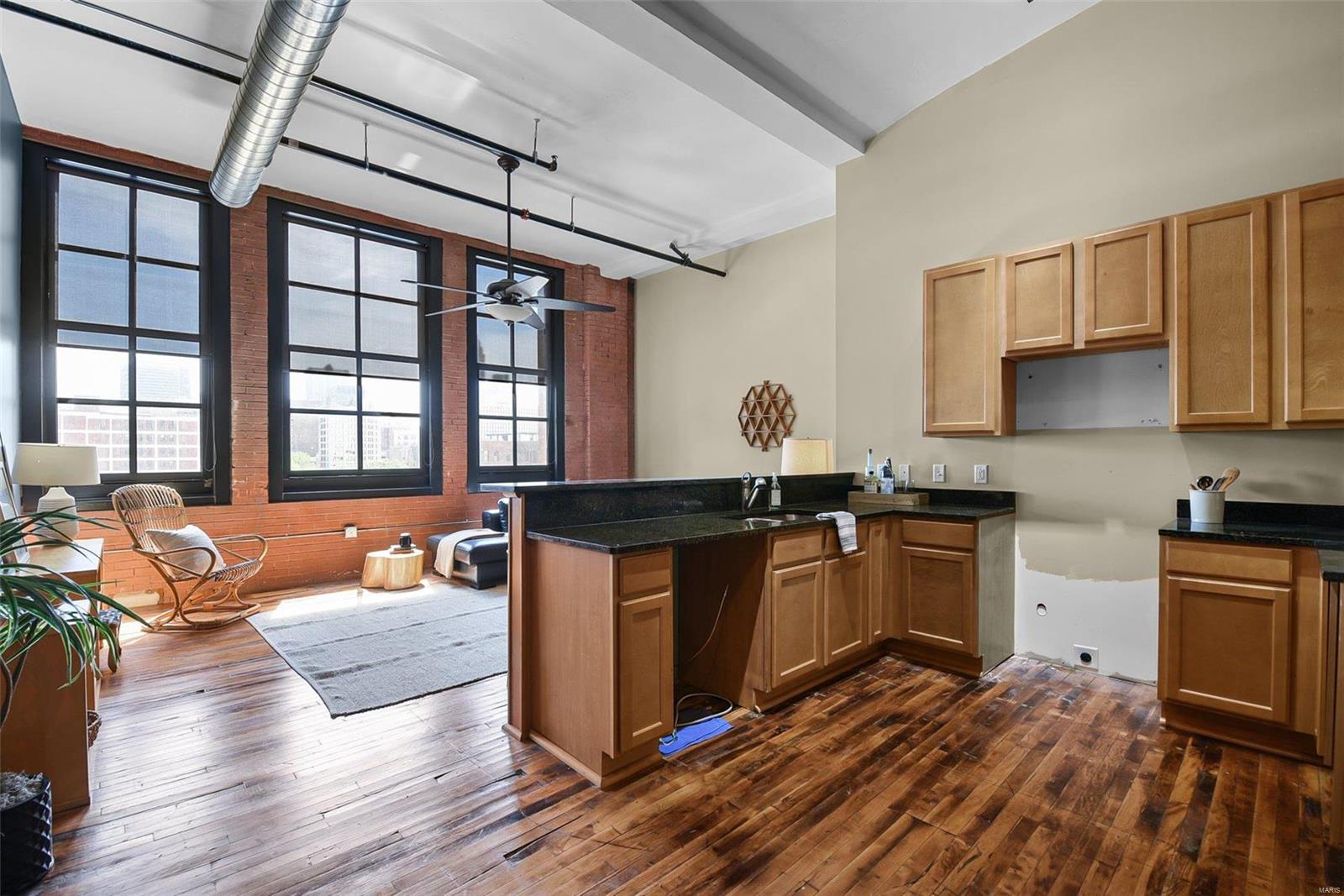 1520 Washington Avenue, Unit R411 St. Louis, MO 63103 - Photo 10 of 16