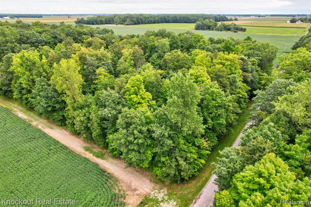 8000 Roedel Road Frankenmuth, MI 48734 - Photo 18 of 18