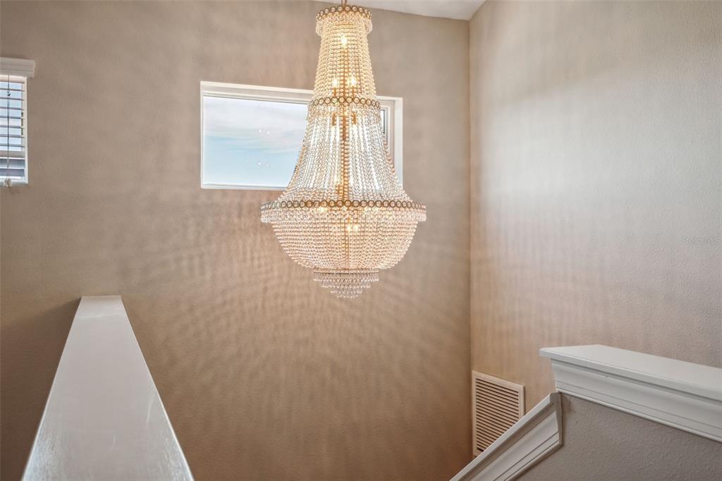 8530 Grand Alberato Road Tampa, FL 33647 - Photo 23 of 67