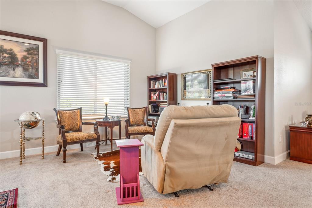 8530 Grand Alberato Road Tampa, FL 33647 - Photo 29 of 67