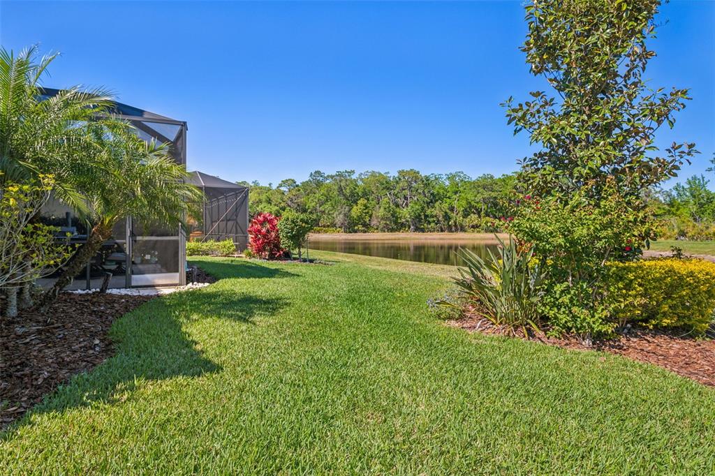 8530 Grand Alberato Road Tampa, FL 33647 - Photo 45 of 67