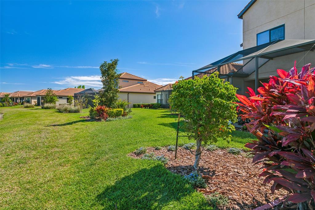 8530 Grand Alberato Road Tampa, FL 33647 - Photo 46 of 67