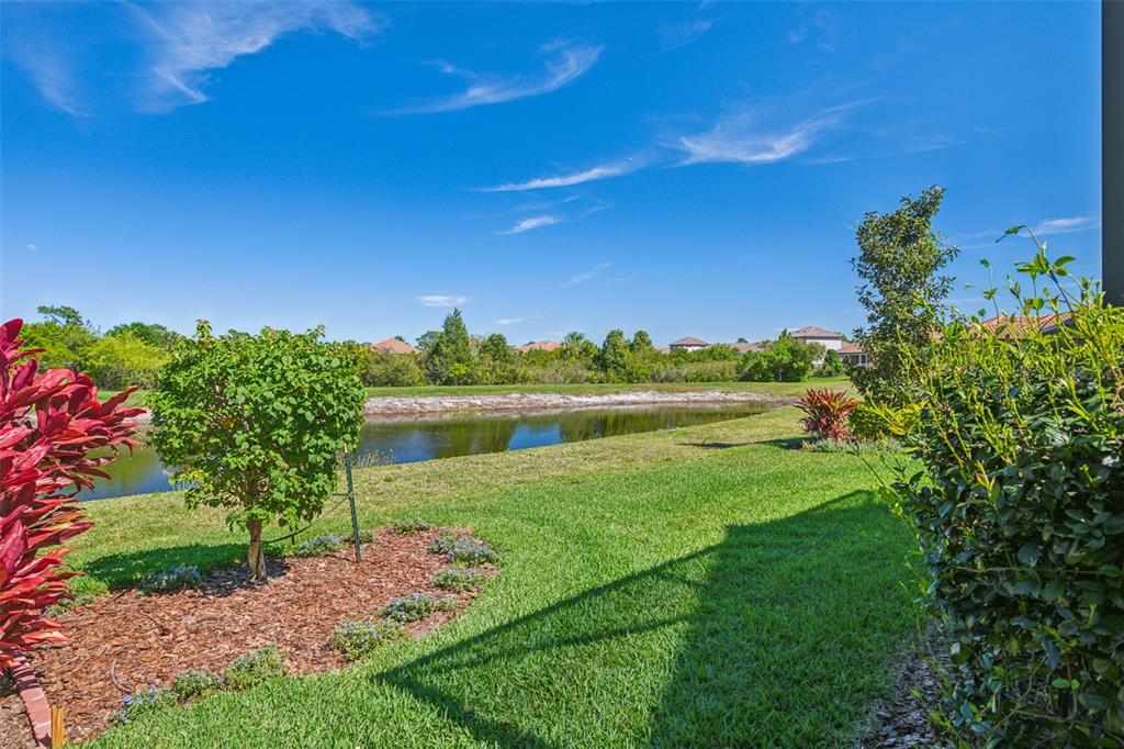 8530 Grand Alberato Road Tampa, FL 33647 - Photo 47 of 67 a view of a lake with a house in the background