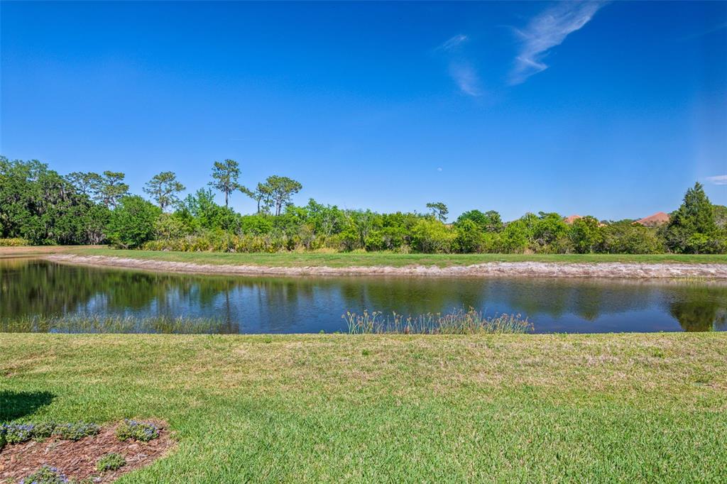 8530 Grand Alberato Road Tampa, FL 33647 - Photo 48 of 67 a view of a lake
