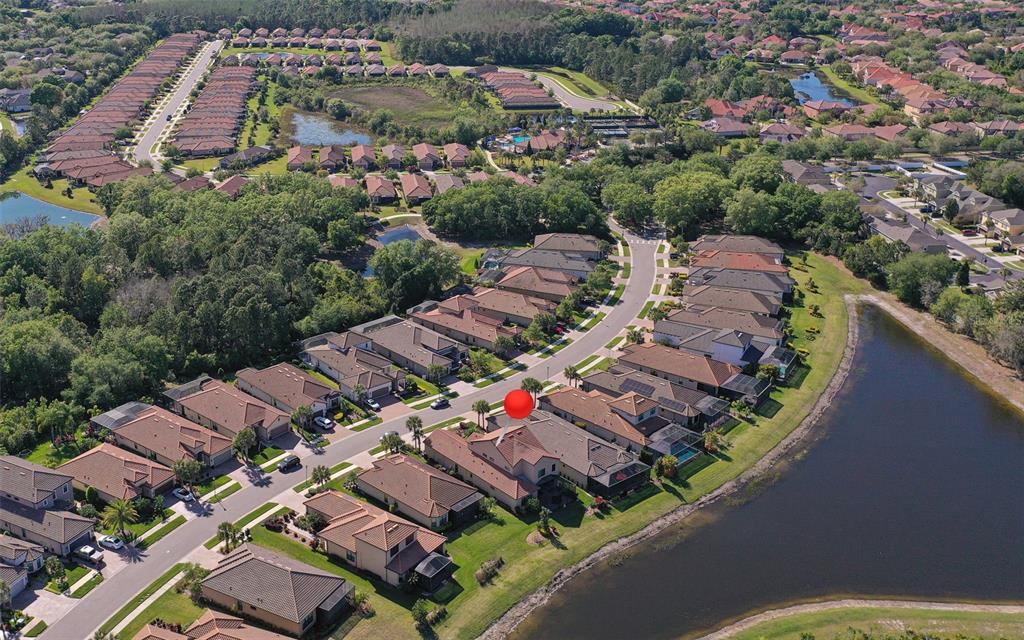 8530 Grand Alberato Road Tampa, FL 33647 - Photo 54 of 67 an aerial view of residential houses with outdoor space