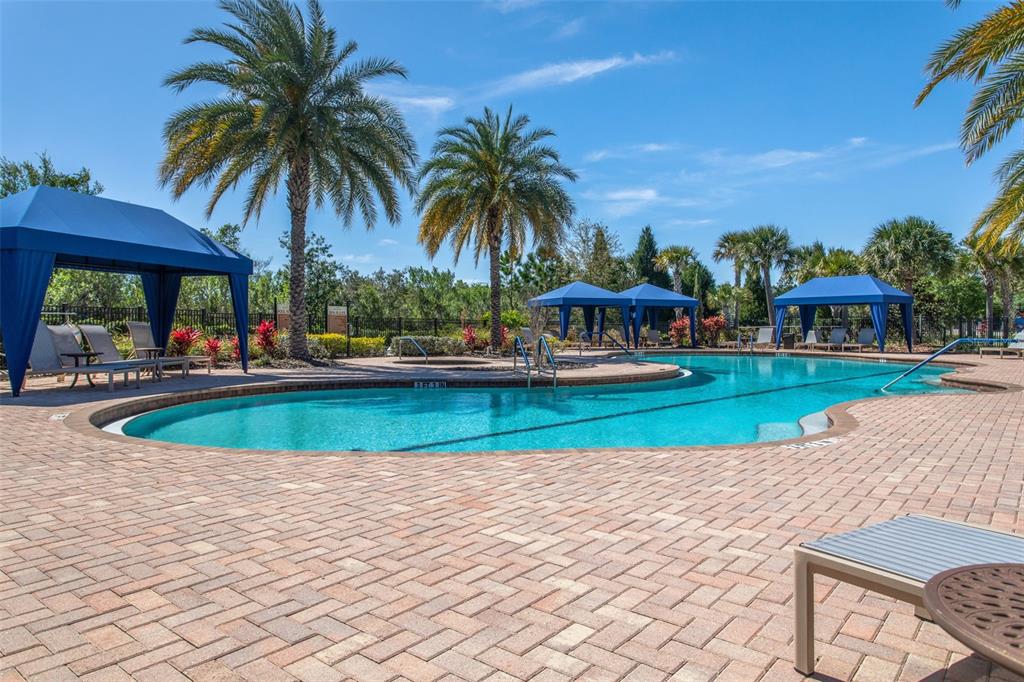 8530 Grand Alberato Road Tampa, FL 33647 - Photo 62 of 67
